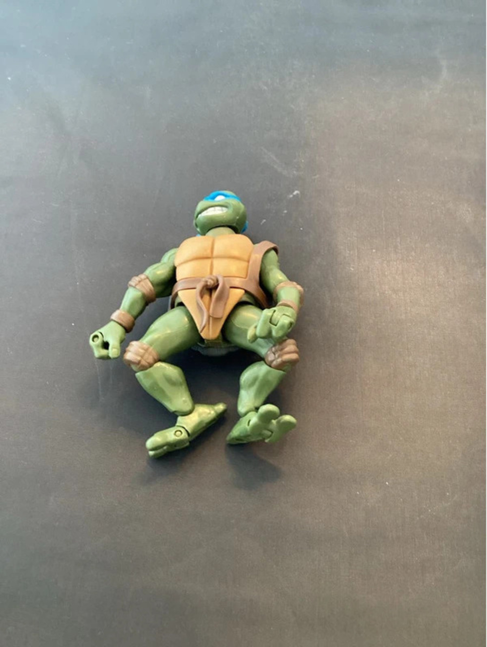 TMNT 2003 Leonardo